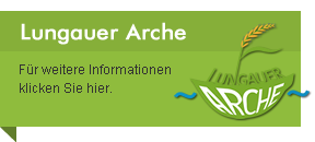 Arche Produkte