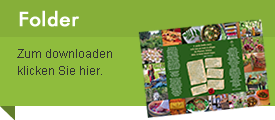 Arche Folder